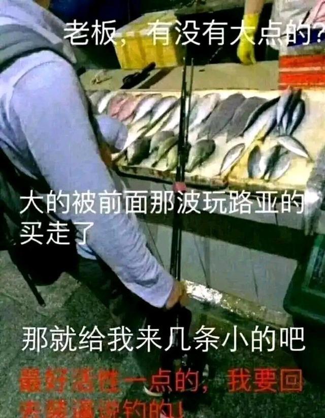 奇闻|钓鱼人的奇闻怪事！钓鱼趣闻（二）