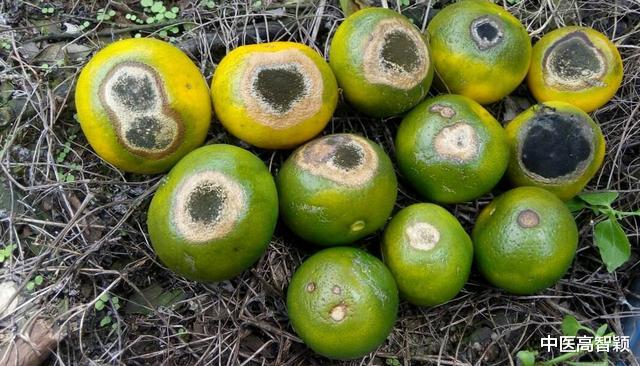 水果|会致癌的“水果”公布，很多老人却当成宝，带着家人一起吃