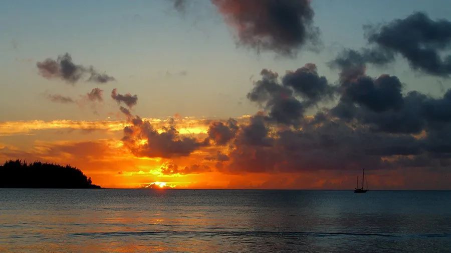 属蛇|8月逢8发，财源滚滚，3大属相前景一片光明，日子有滋有味