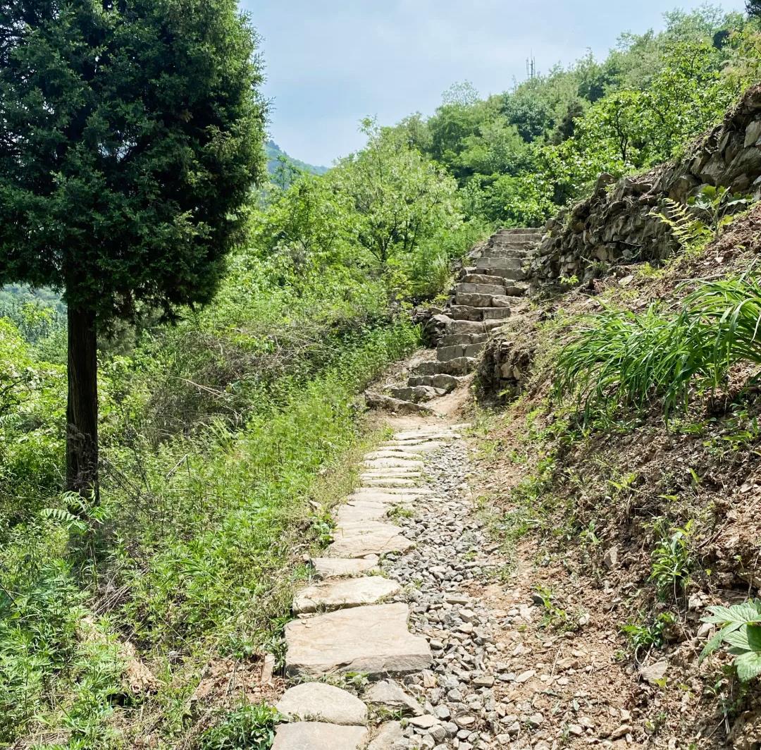 秦岭■秦岭里有瀑布的小众景区，原始森林，休闲徒步，游客很少
