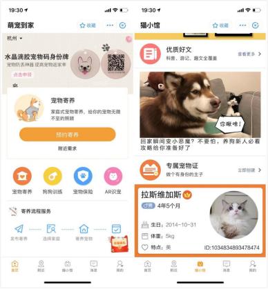 支付宝的圈粉小程序！一般人我可舍不得告诉他