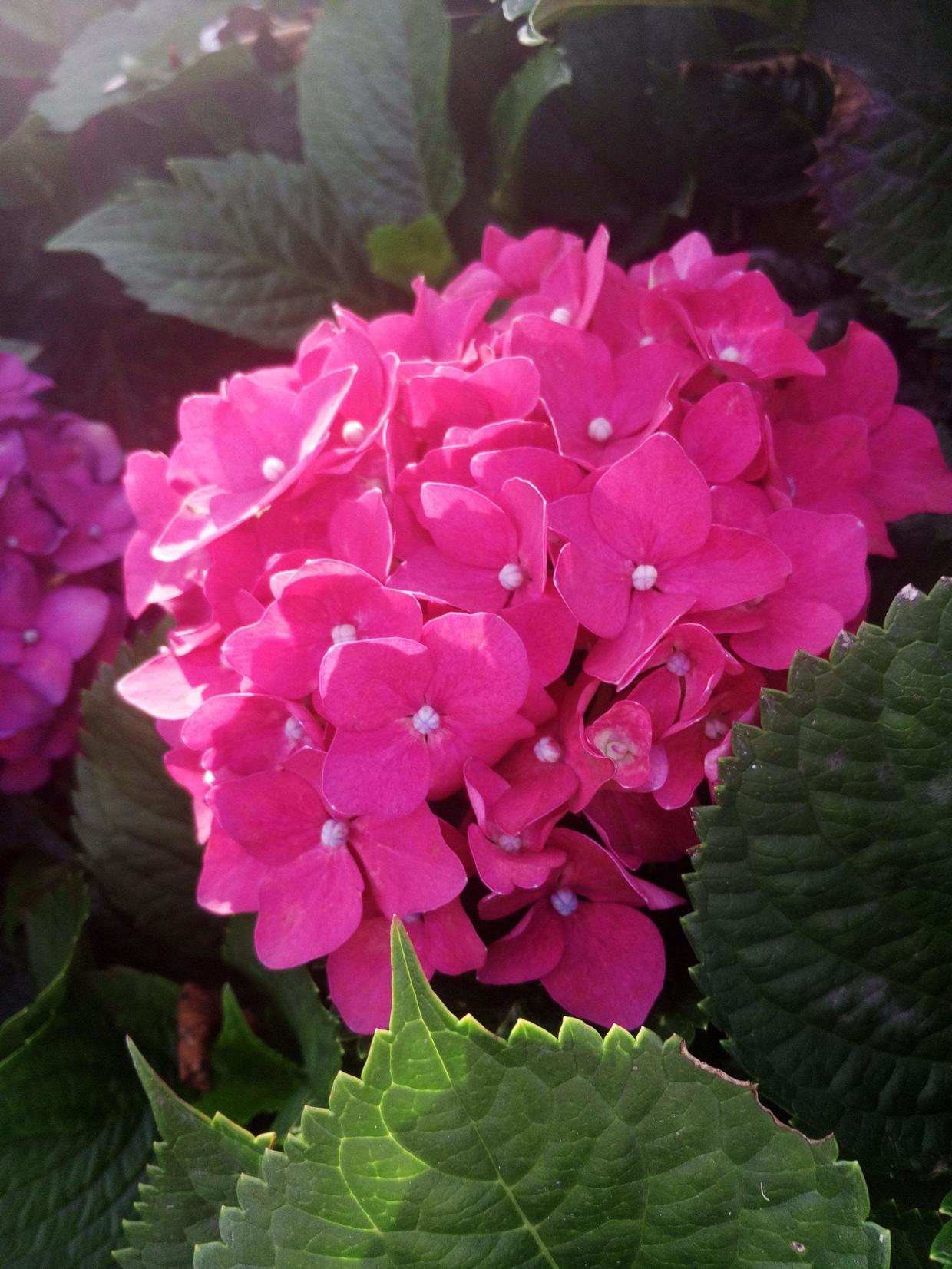 『双子座』遇上这几个星座,越虐他们,他们爱你更深