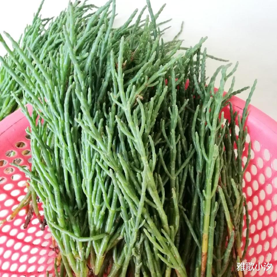 鸡蛋|“有梗无叶”的蔬菜，在我国少有人吃，老外却把它吃成“高端菜”