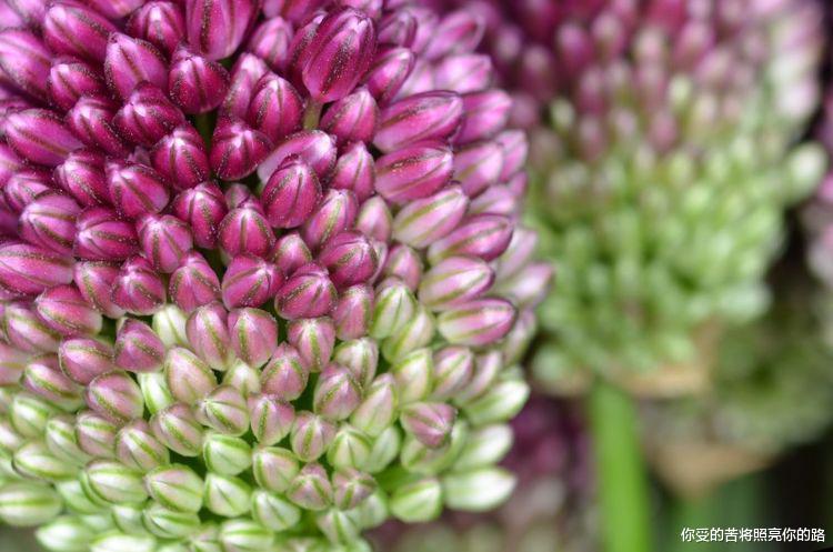 生肖|未来一周,4大生肖运势回升,钱财翻倍,好运不断!