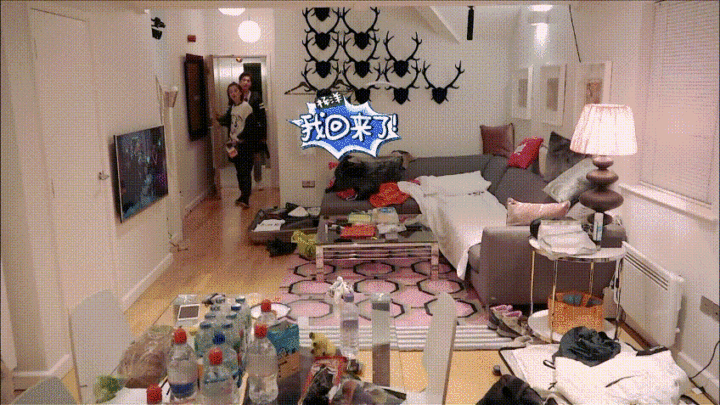 杨洋|杨洋当年去《花少》到底有多伤,5年不接综艺,劝亦菲别上真人秀