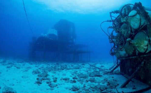 水底奥秘|海底1万米有多恐怖,在8200米的深度,已经没有鱼类生存了