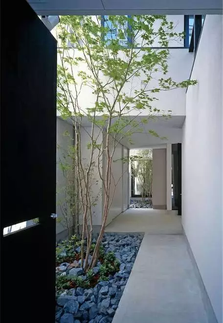 【】打造一个美美的院子，享受生活的安静与悠闲