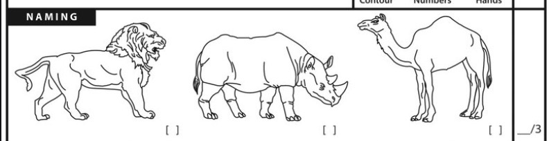 特朗普|川普最新采访大翻车！和全美最犀利记者当场撕X，全程被怼疯