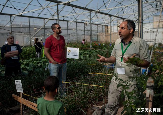 以色列|唯一因国土太小而无法崛起的国家，如果领土能扩大，将成超级大国