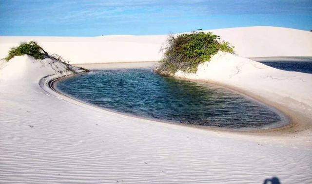 ：世界上“最不正经”的沙漠，降水是撒哈拉300倍，还出现很多鱼虾