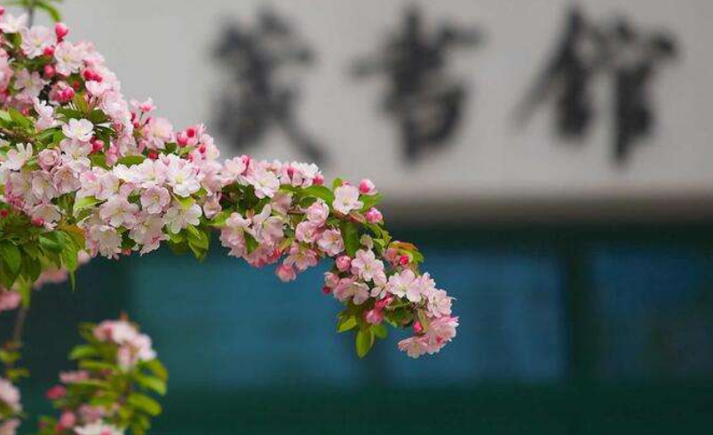 教育部|“文科生”应该选什么大学和专业?我推荐了,就看你敢不敢报!