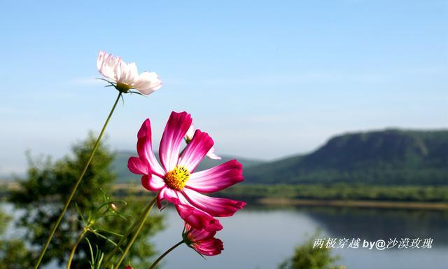 自驾|一次自驾走遍中国“两极”，2000公里边境线上的穿越之旅