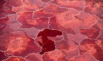 「干尸」世界上最恐怖的湖泊, 只要触碰所有的生物都会变成干尸化石