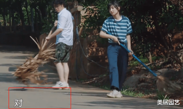 张子枫|《向往4》张子枫周深帮村民扫地却造假?工作人员入镜穿帮后打码,无语了
