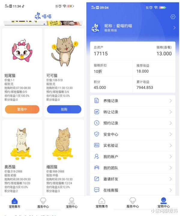 微信|还是老套路！6000多人被网上养猫平台骗得血本无归，损失上亿