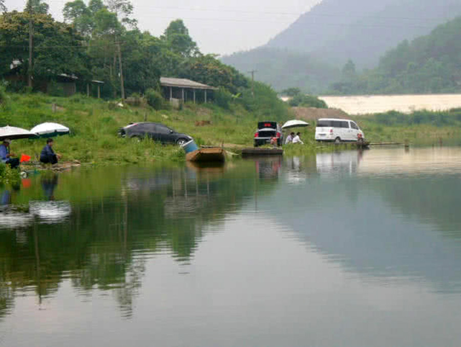 |上钩时拉力大,逃窜猛,这三种鲮鱼该怎么钓?给你一些参考