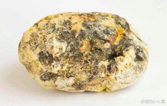 【抹香鲸】鲸鱼的排泄量巨大，为何它们的粪便价值却远超黄金