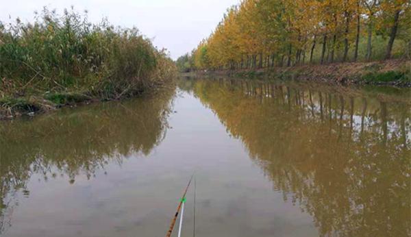 鲫鱼|冬季钓鱼,四大必争钓位,这些地方有大鲫鱼,遇上一定别放过!