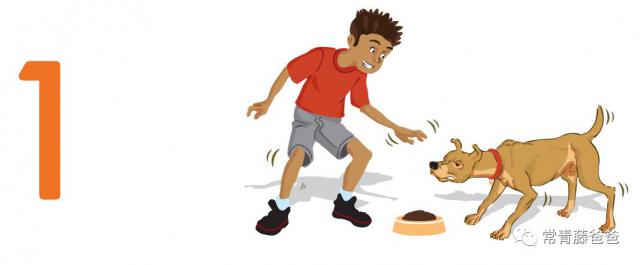 半岛晨报|男子凌晨误入山中被野狗逼上绝路，打开手机闪光灯发现在墓地里