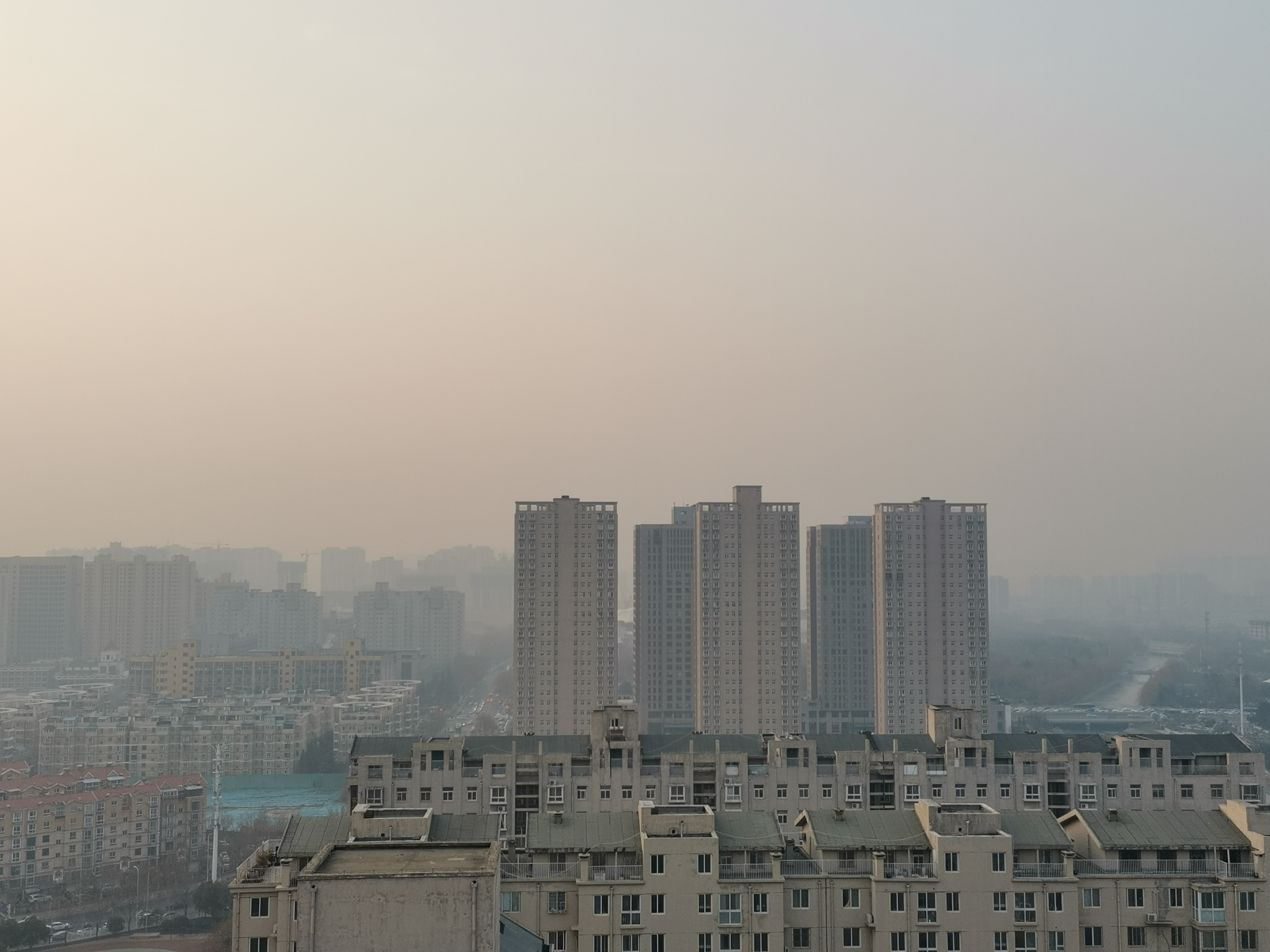 环保新栋态 环保新栋态：“一目了然”之图鉴（第180—186天）