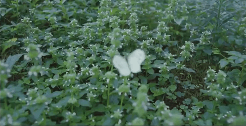 娇兰|不是星二代，她的背景却碾压所有人