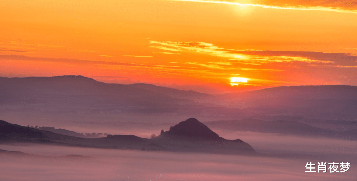 |11月，桃花欢喜，爱情迷人，姻缘不散，前任相约白首，破镜重圆