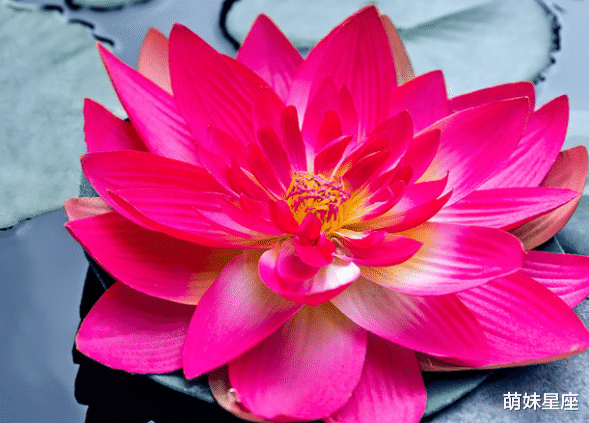 白羊座|未来15天，运势大旺，4属相有望升职加薪，好运滚滚，万事如意