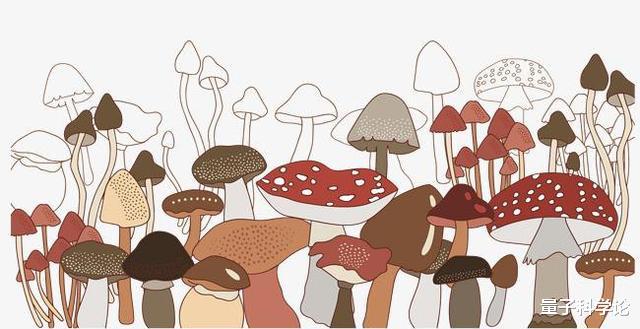 撞脸|人类丁丁为啥长了一脸「蘑菇样」？无意撞脸还是进化优势？