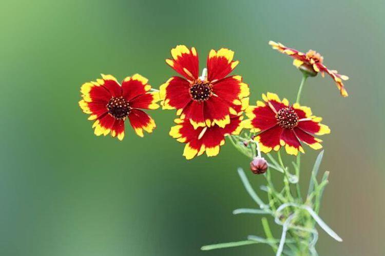 运势|10月开始，吉星庇佑，财富四方来，贵人频出的4大生肖