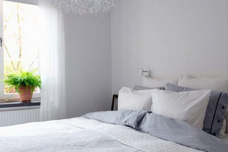 |家里这3个地方万万要摆上植物,能招财转运,难怪财神爷天天上门