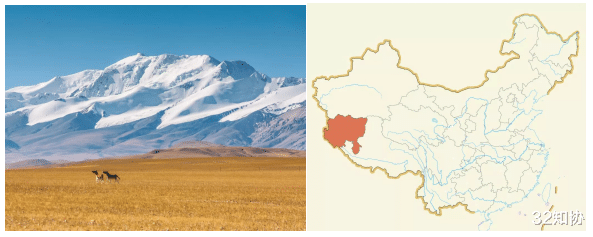 『阿里巴巴』阿里是地名，“阿里婆婆”商标被驳回！为啥马云能注册？