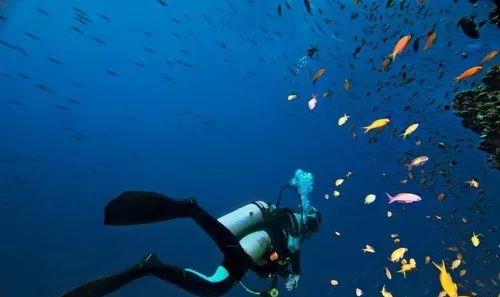 [科学家]科学家发现了新型呼吸技术，能够解决水下呼吸的问题，意义重大