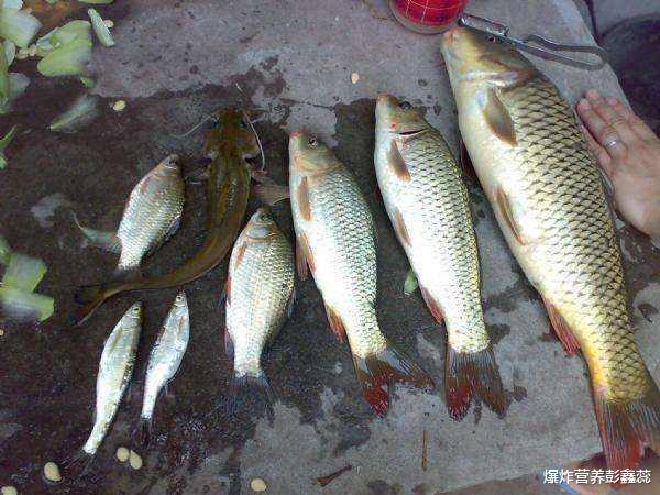 营养师|年龄越大越要忌口？提醒：活了半辈子的人，3类食物能不碰就不碰