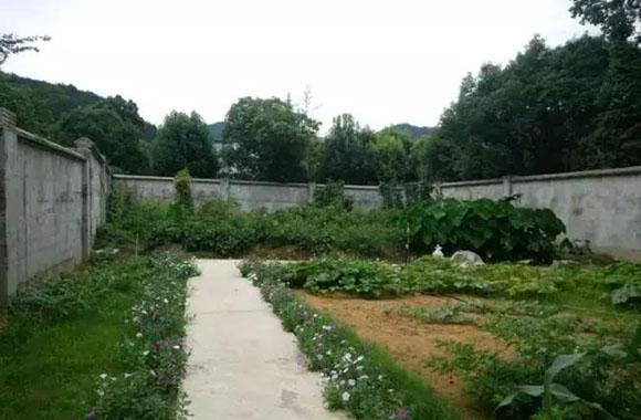 晒晒大老板的乡下别墅, 放着城里几套豪宅不住, 独爱农家小院