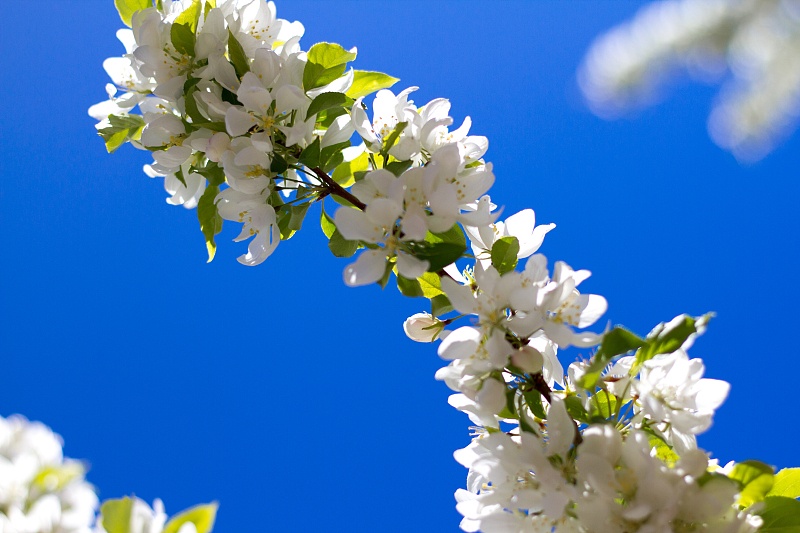 ▲生肖猪：不用再忙碌奔波了，财神爷给你送福利了！