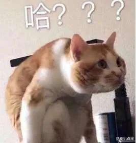 郑爽|过往翻车频率太高，李诞大张伟小心翼翼捧郑爽，把“害怕”写脸上