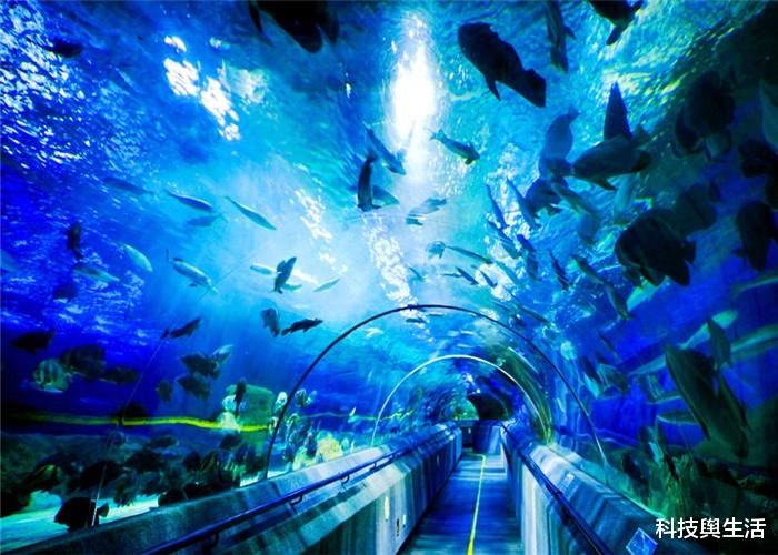 水底奥秘:潜龙3号再立功,传回一项神秘的消息,西方国家都坐不住了!