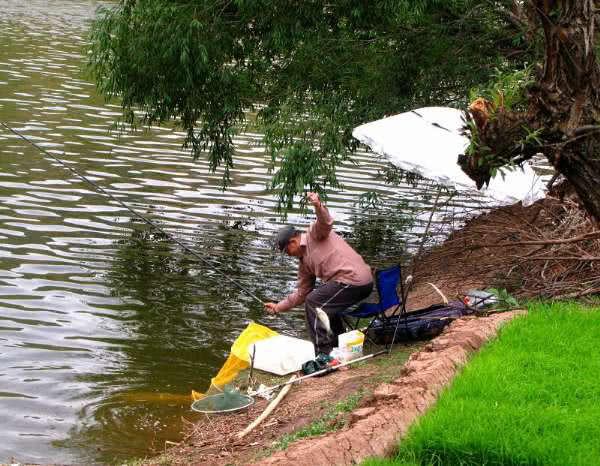 「」钓鱼和刮风有什么联系?能回答这三个问题,说明你钓鱼有些年头了