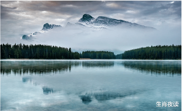 生肖|11月底,桃花不断,情商提升,不再花心,为爱稳重,再续前缘