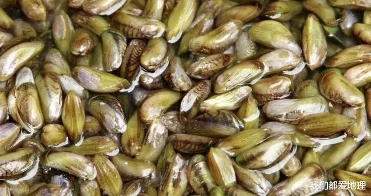 「舟山」中国最适合吃海鲜的城市