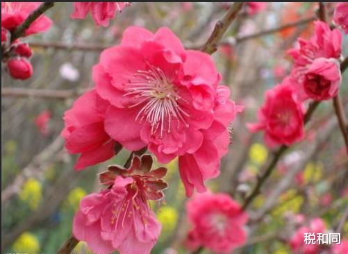 『生肖』7月2号，贵人上门“黄金铺满床”，财源滚滚3生肖，赚钱路上迎接曙光