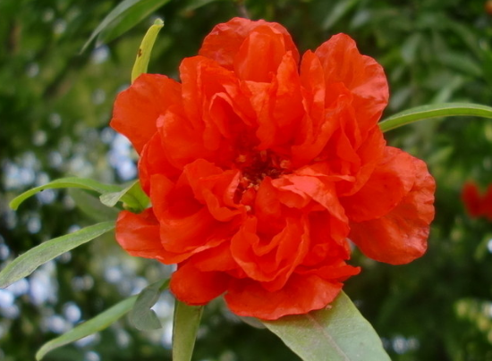 『生肖』未来一个月，4属相取得很好成绩，工作顺利，升职还加薪