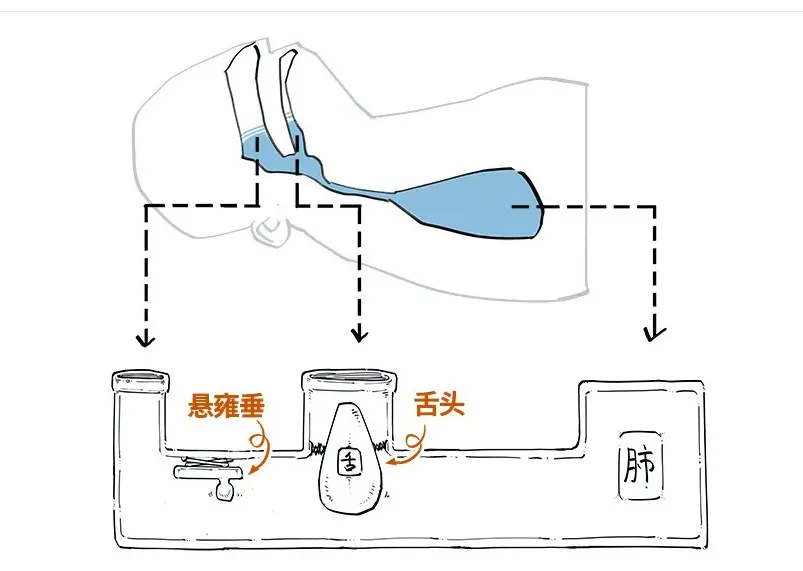 衰老|越睡越累？其实是你的\鸟\不够用了......