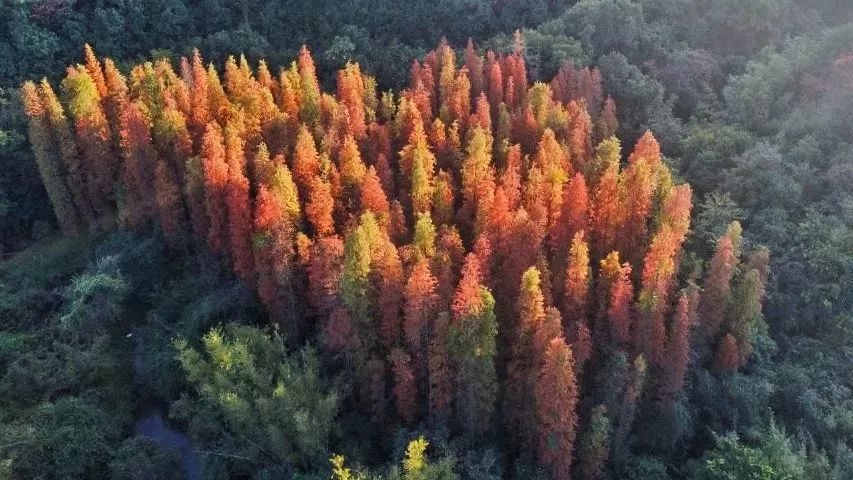 花都|花都，起飞！