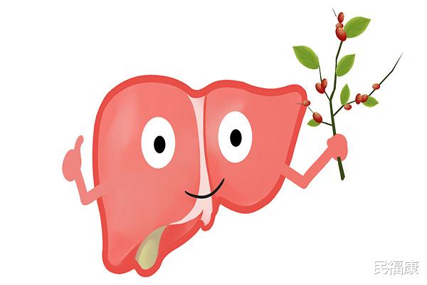 医生|肝癌早发现有望治愈!肝内有癌,身体会发出警报,要及时留意到