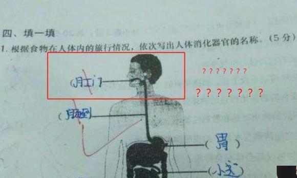 「」初中女老师身穿“人体器官服”上课，声称：一切为了孩子们