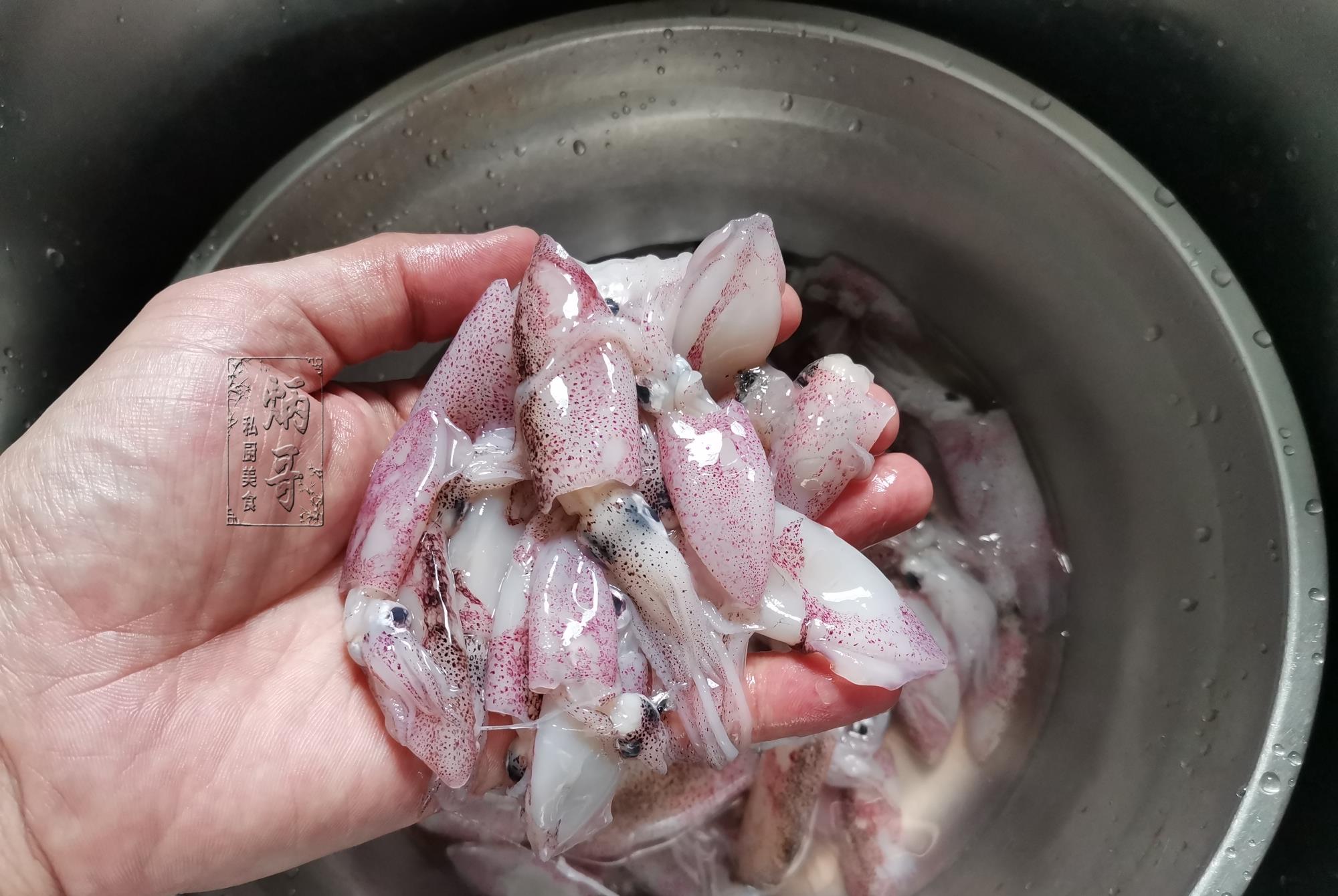 鱿鱼|9月，碰到这海货千万别错过，纯野生非养殖，简单一捞，就盘它！