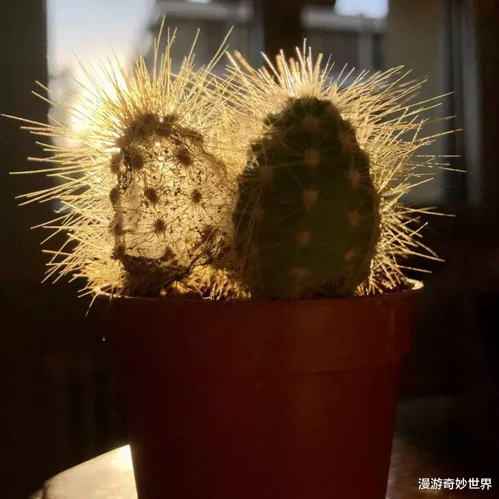 30张见所未见的照片,让你姿势暴涨500点!