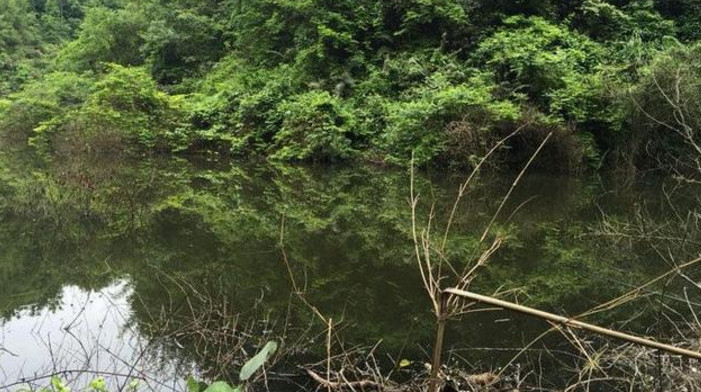 ▲山里钓几条这种鱼谁认识?全身乌黑却不是黑鱼,钓鱼人眼中的最爱