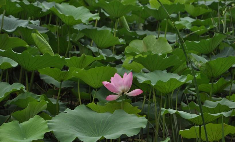 金牛座|10月末，爱情说散就散，与前任不再联系的4大星座：感情勉强不来